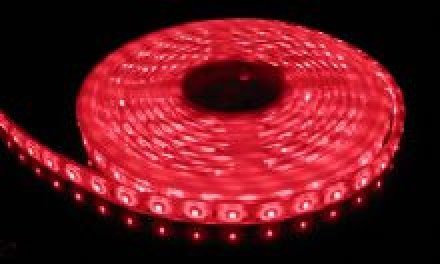 12v Flexible LEDs - 30 cm lengths (Red)