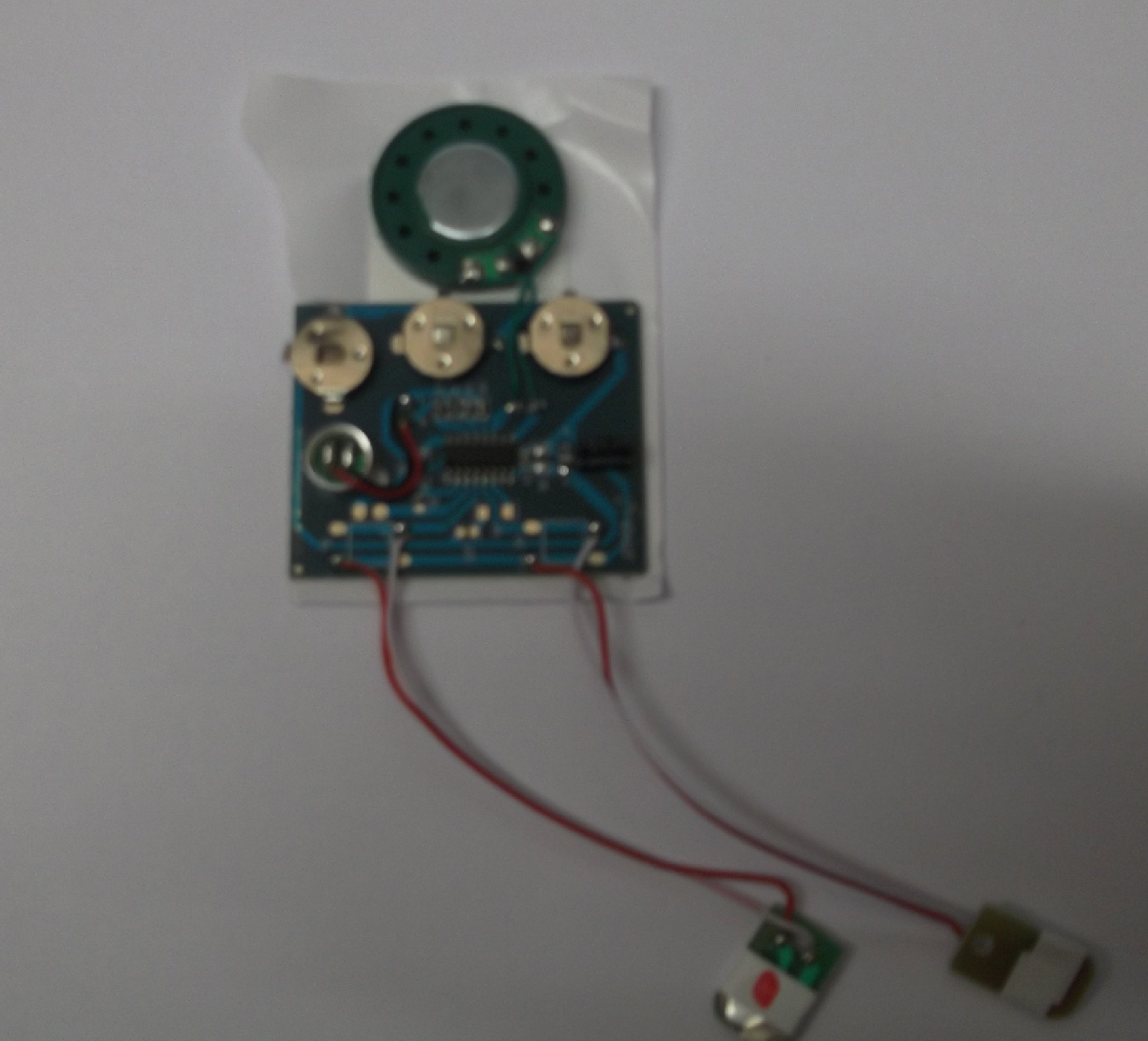 30 seconds Sound Recording Module with Leads